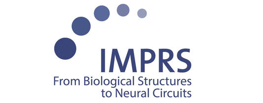 IMPRS IMPRS